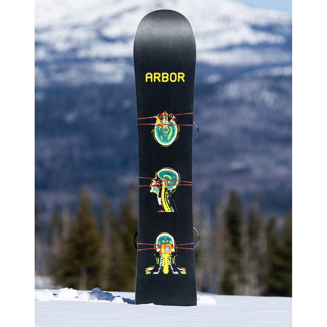 El Camino Snowboard
