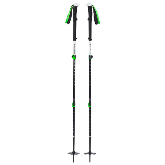 Expedition 3 Ski Poles 2025