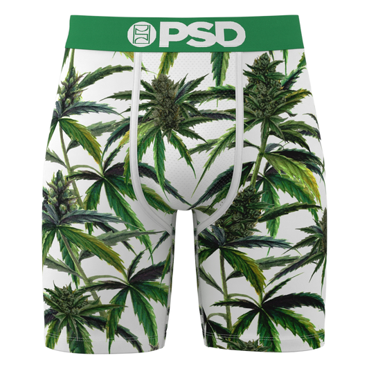 Buds & Bloom Underwear