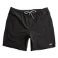 Classic Beach Short 2025