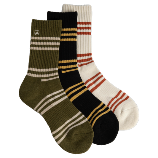 Coal Everyday Crew 3 Pack Sock 2025