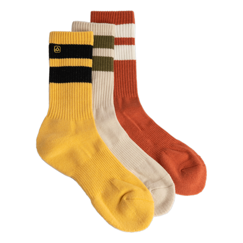 Coal Everyday Crew 3 Pack Sock 2025