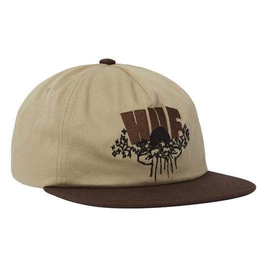 Dazed Snapback Hat 2025