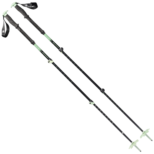 Expedition 3 Ski Poles