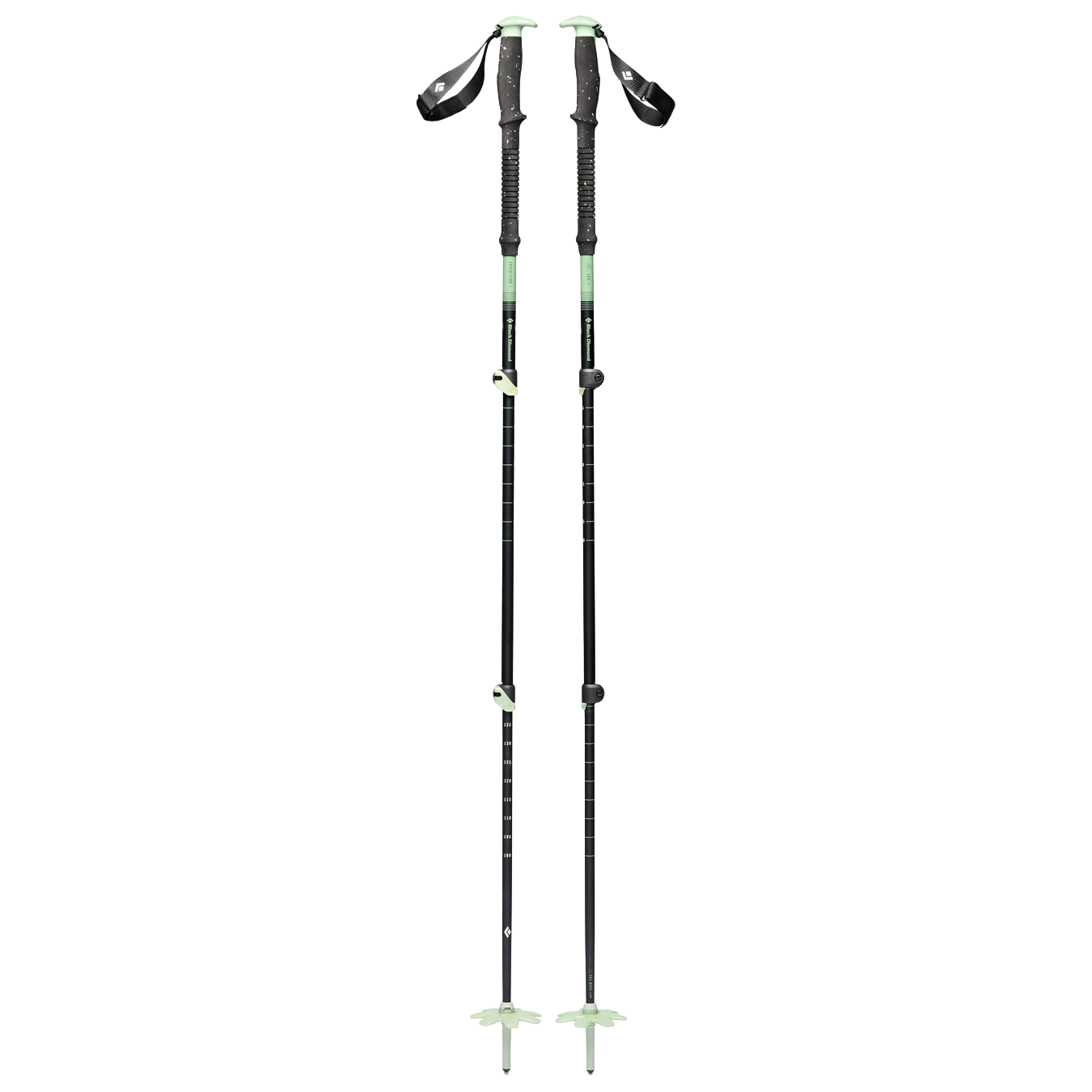 Expedition 3 Ski Poles 2026