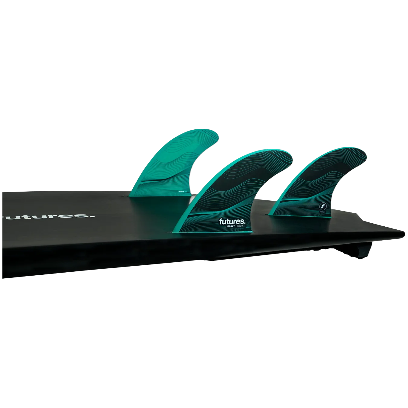 F6 Fin