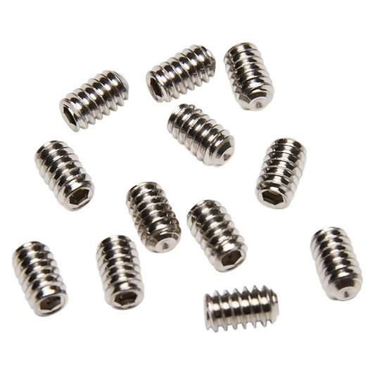Stainless Steel Screws 12 Pack