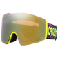 Fall Line L Goggle