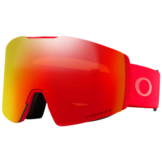 Fall Line L Goggle
