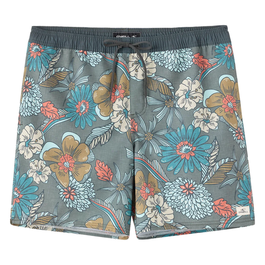 Hermosa Lined Volley 17" Boardshort