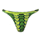 Hummingbird Bottom