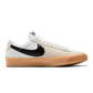 Zoom Blazer Low Pro GT Shoe