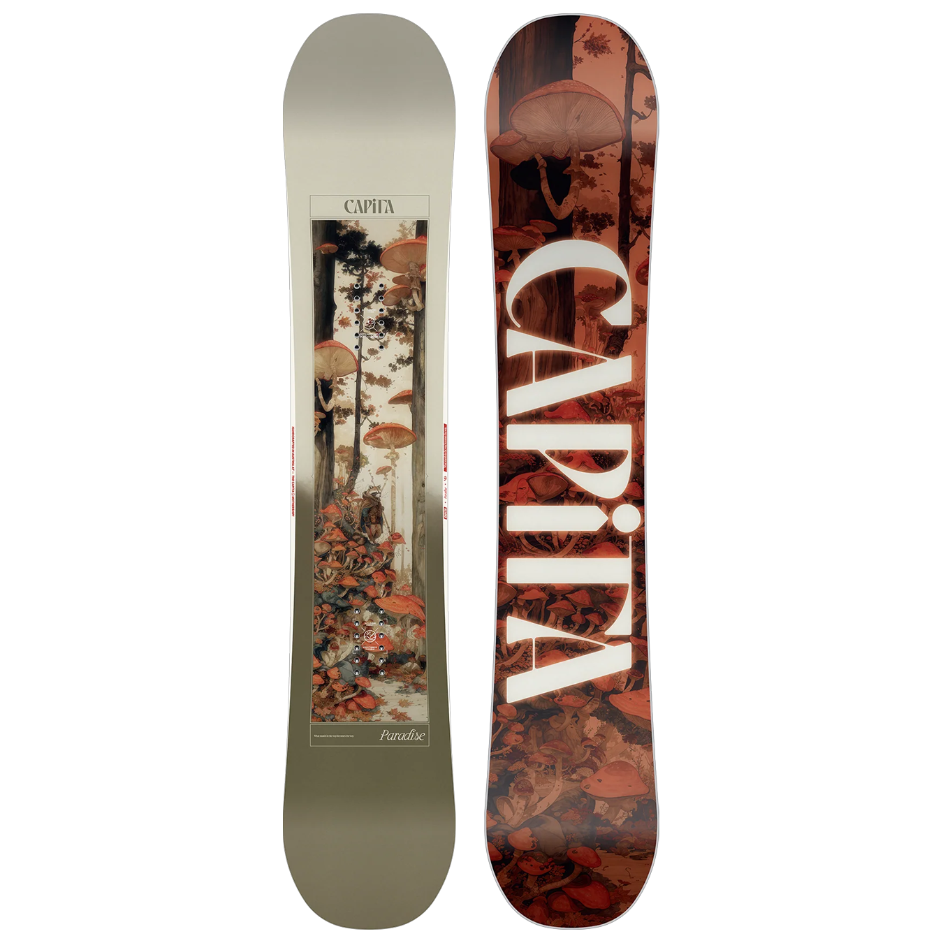 Paradise Snowboard 2026