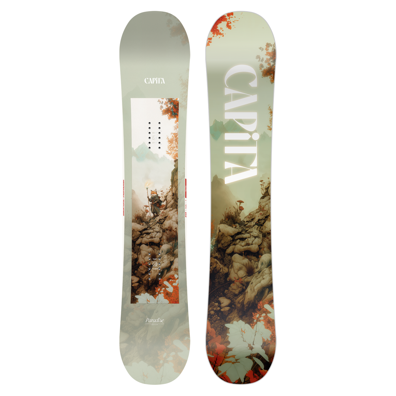 Paradise Snowboard