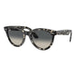Wayfarer Way Sunglasses 2024