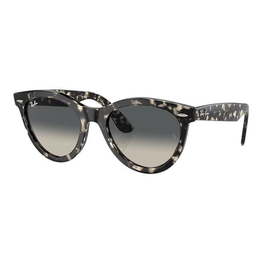 Wayfarer Way Sunglasses 2024