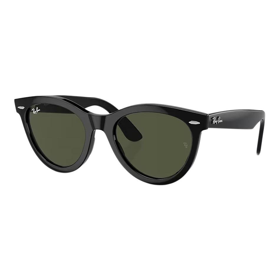 Wayfarer Way Sunglasses 2024