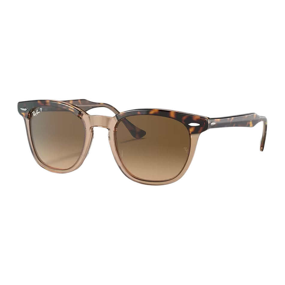 Hawkeye Sunglasses 2024