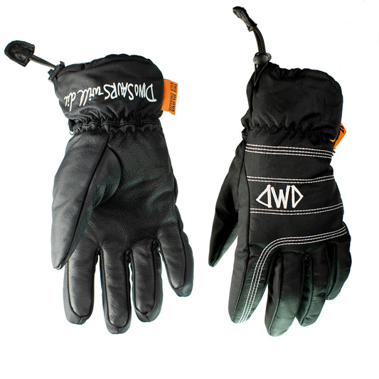 Glove W24