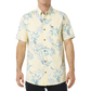 Sessions S/S
