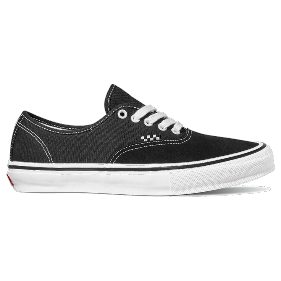 Skate Authentic Shoe 2025