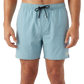 Solid Volley Boardshort