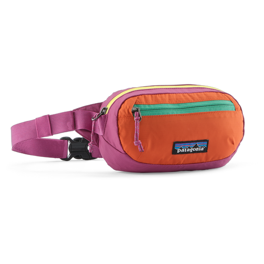 Terravia Mini Hip Pack