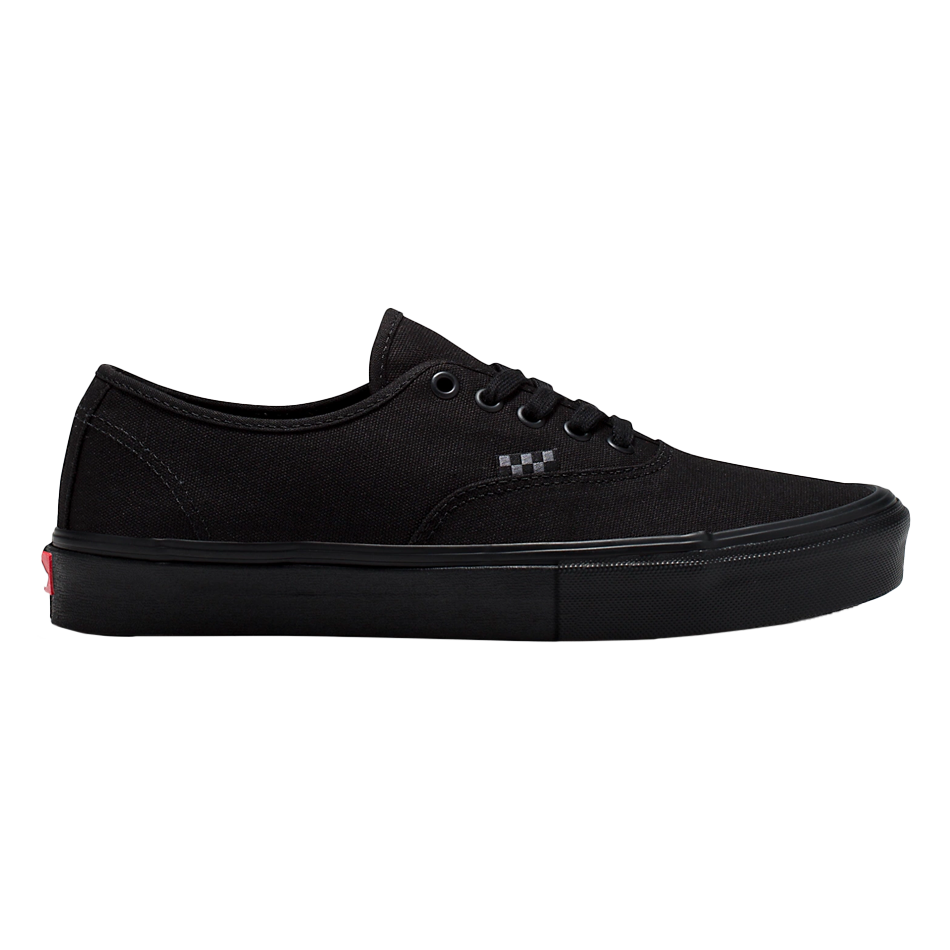 Skate Authentic Shoe 2025