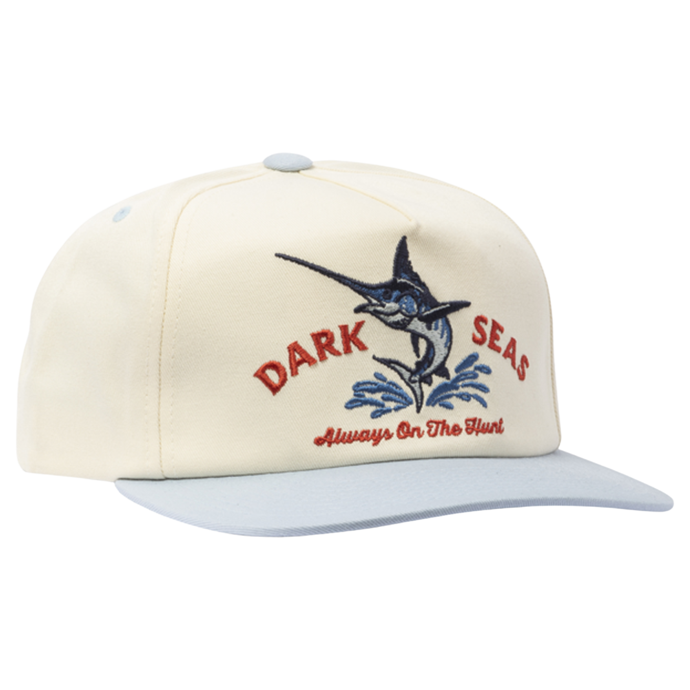 Vapor Snapback Hat 2025