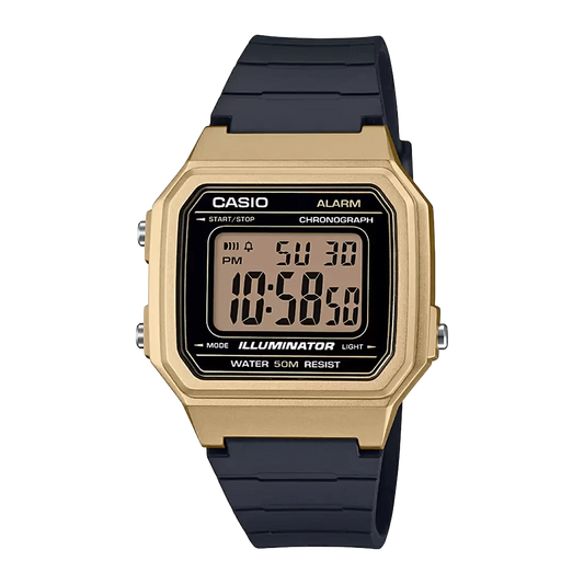 W-217HM-9AV Watch