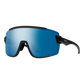 Wildcat Sunglasses