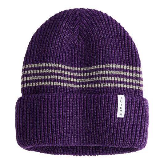 Youth Mini Stripe Beanie 2026