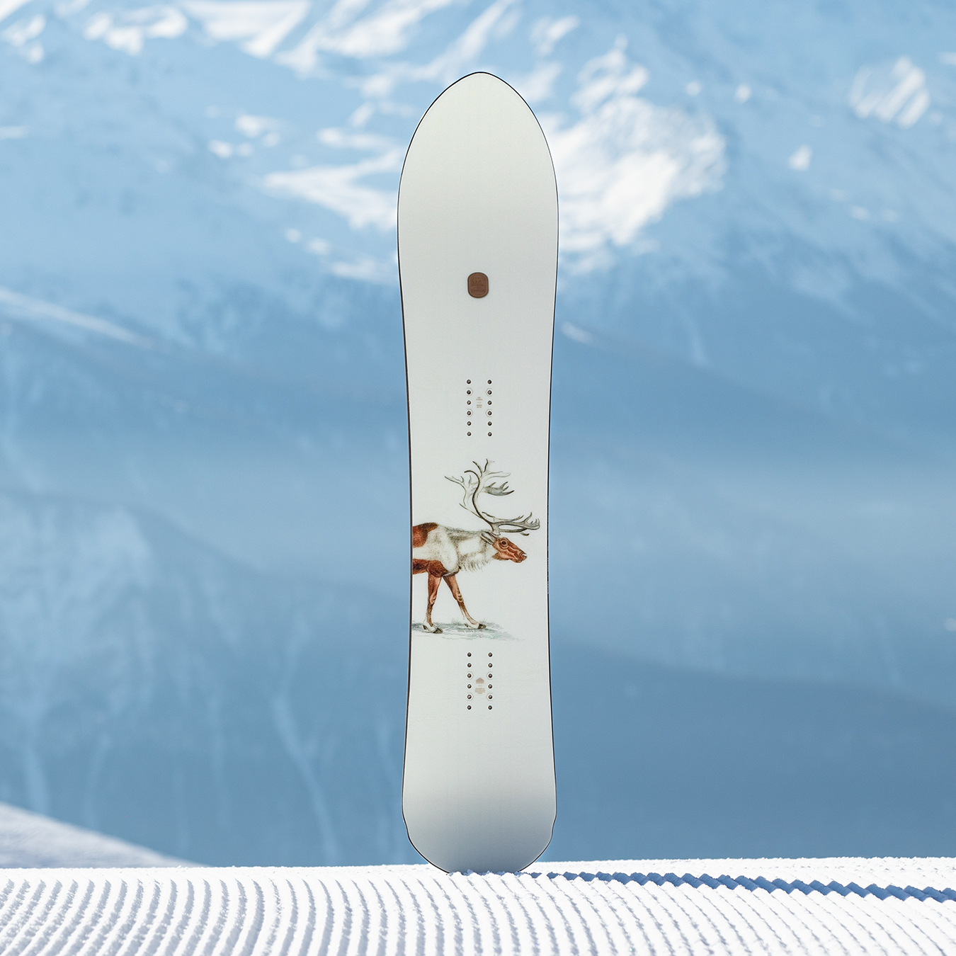 Nidecker X Sorel Snowboard