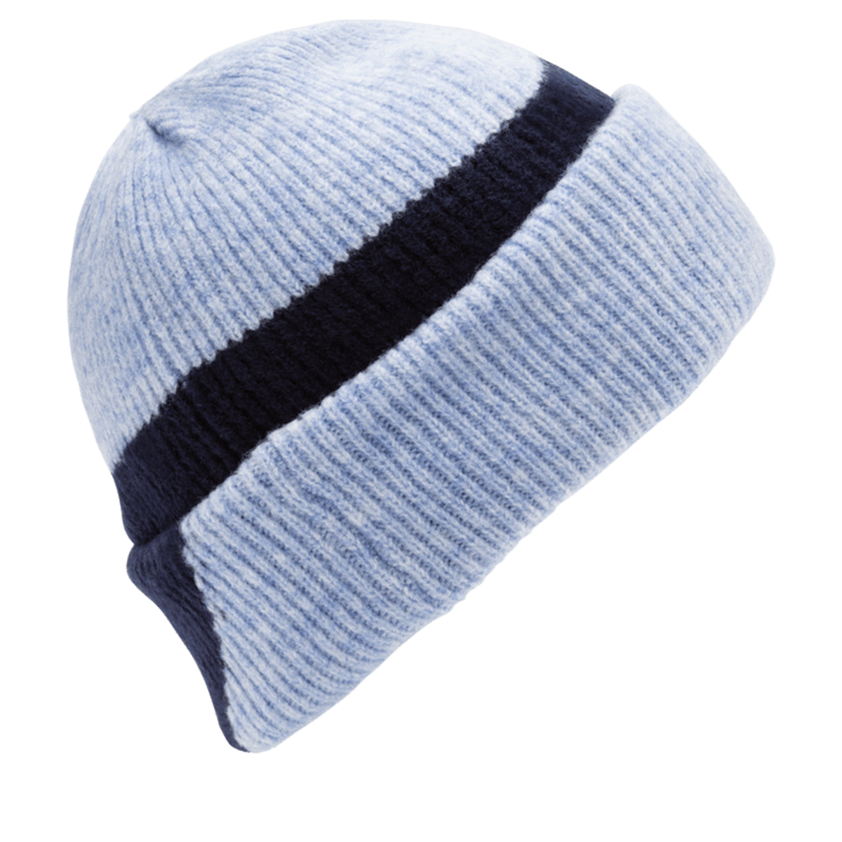 2Tone Beanie