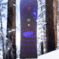 Astrowaste Snowboard