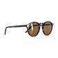 Holiday Sunglasses 2024