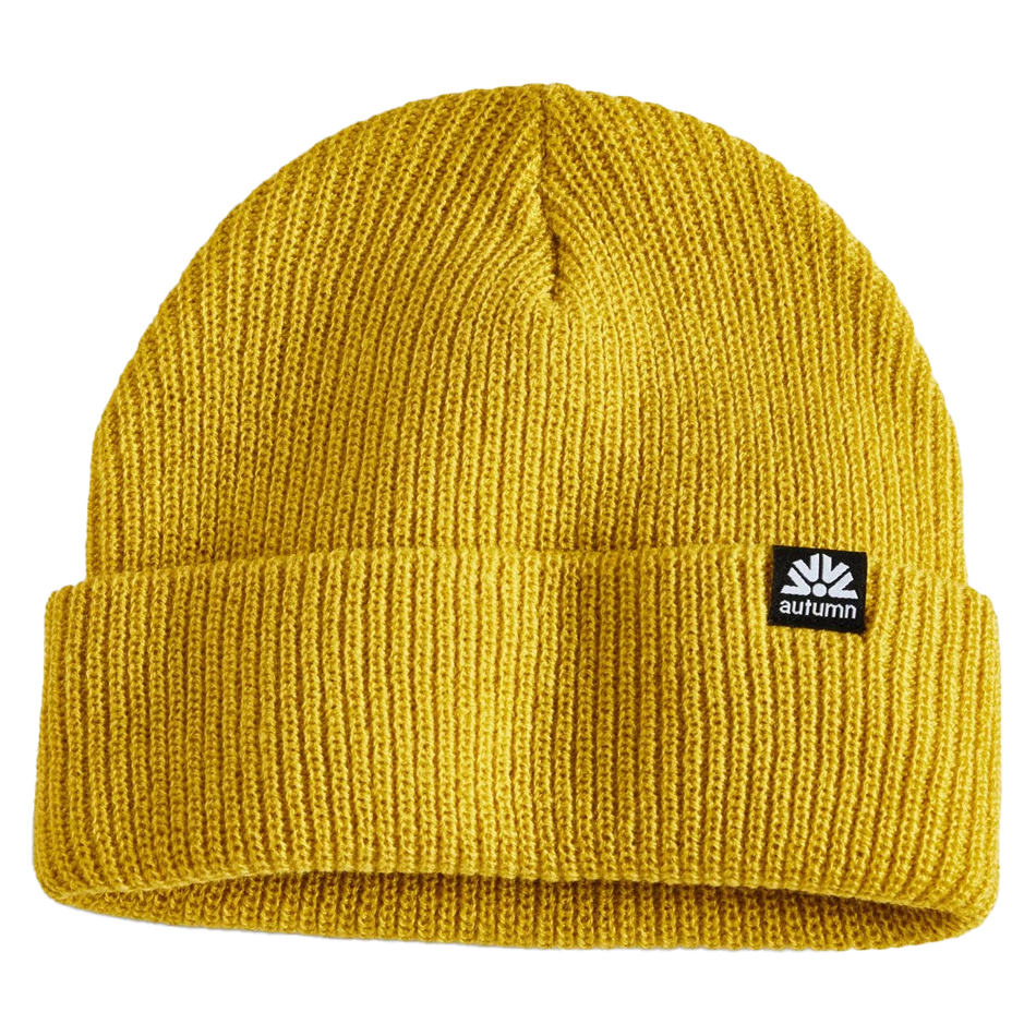 Simple Beanie 2025