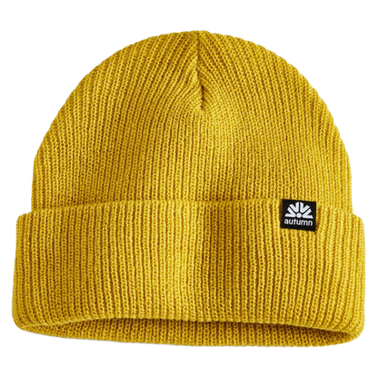 Simple Beanie 2025