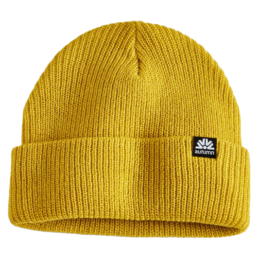 Simple Beanie 2025