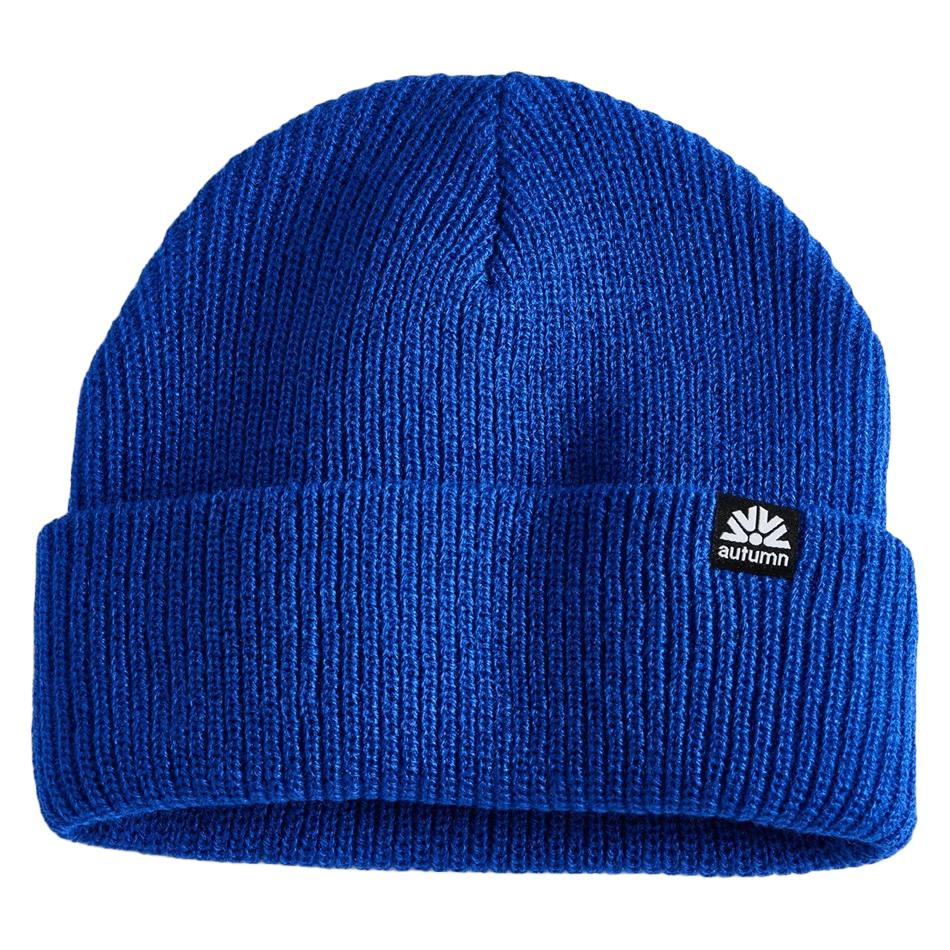 Simple Beanie 2025