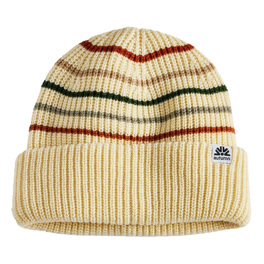 Simple Retro Beanie 2025