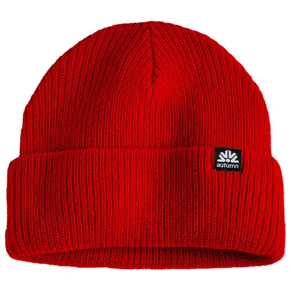 Simple Beanie 2025