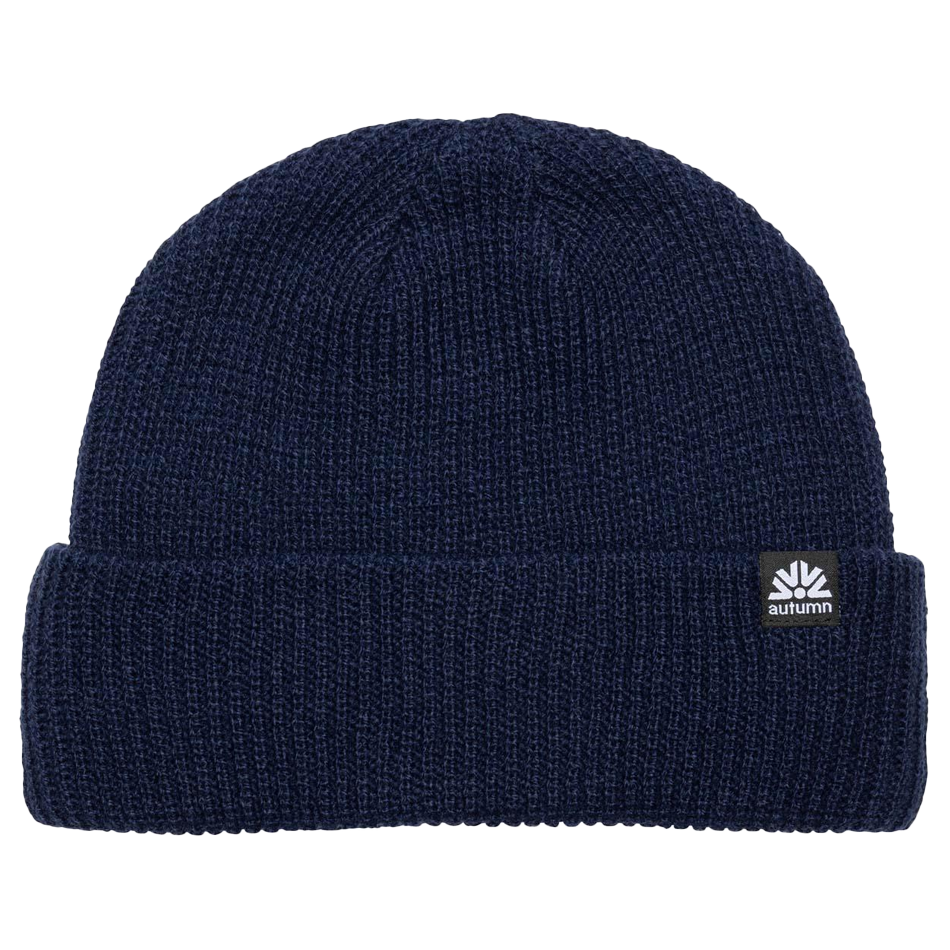 Simple Beanie 2025