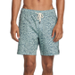 Barnes Elastic 17 Boardshort 2025