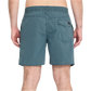 Center Trunk 17 Boardshort