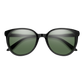 Cheetah Sunglasses