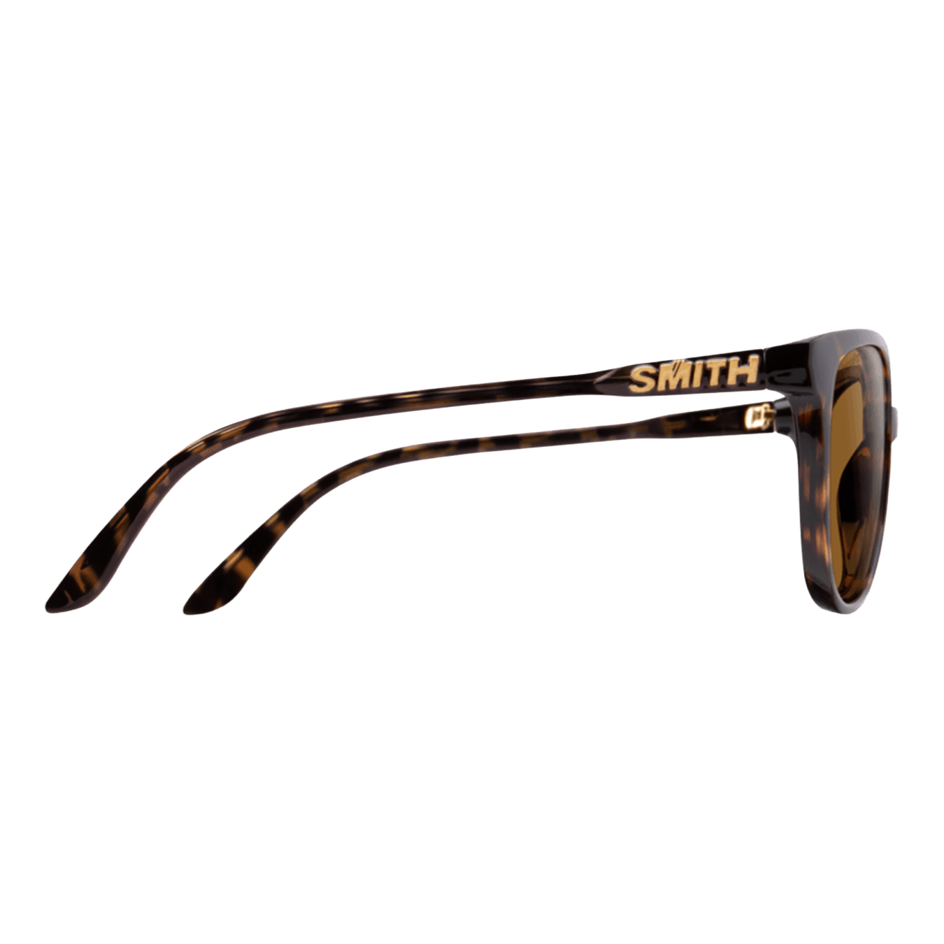 Cheetah Sunglasses