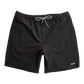 Classic Beach Short