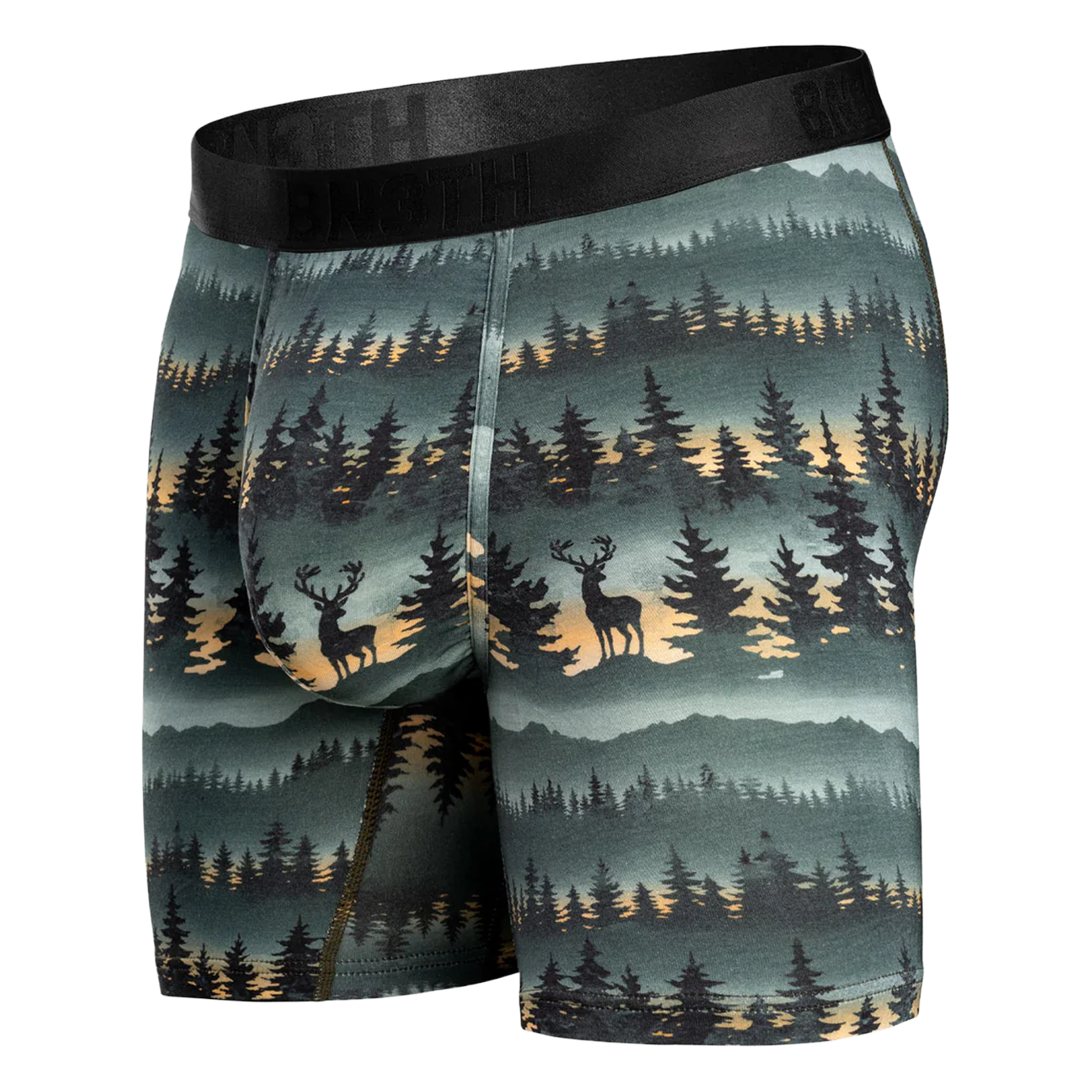 Classic Icon Boxer Brief Print