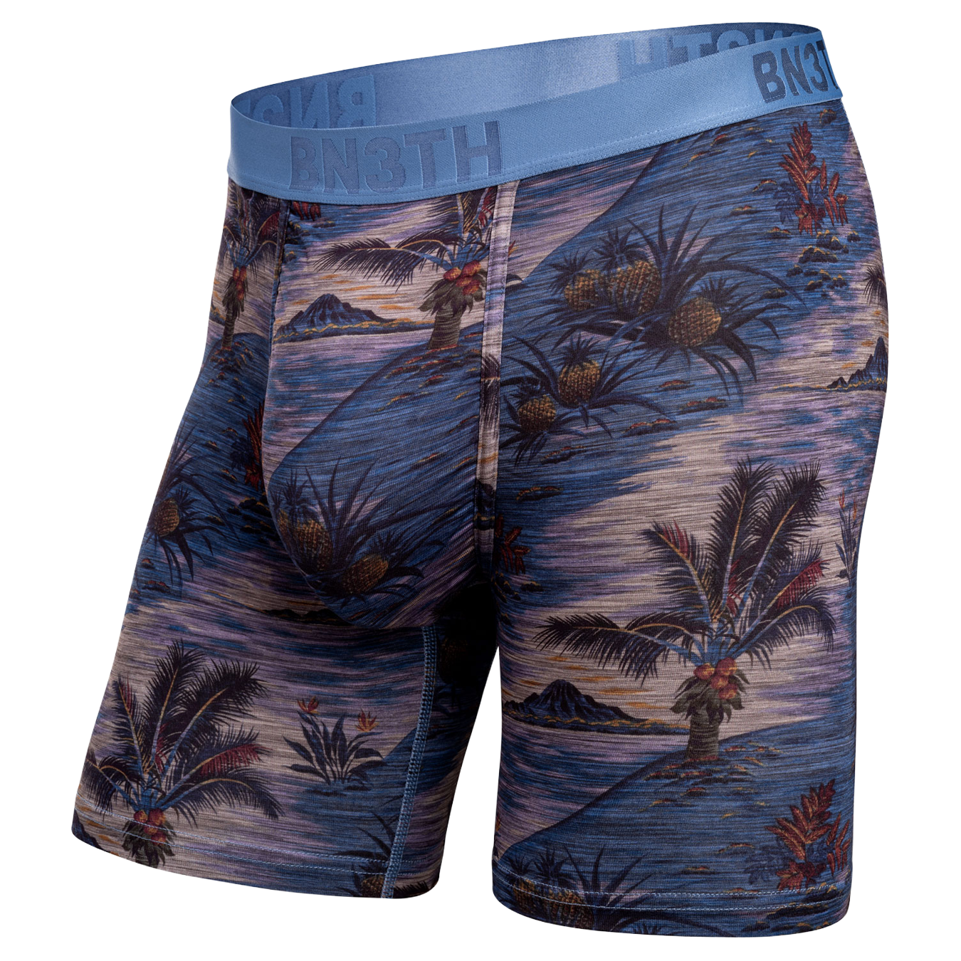 Classic Icon Boxer Brief Print